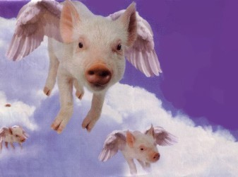 gripi_iptamenoi_hoiroi_flying_pigs_21.09.09 gripi_iptamenoi_hoiroi_flying_pigs_21.09.09